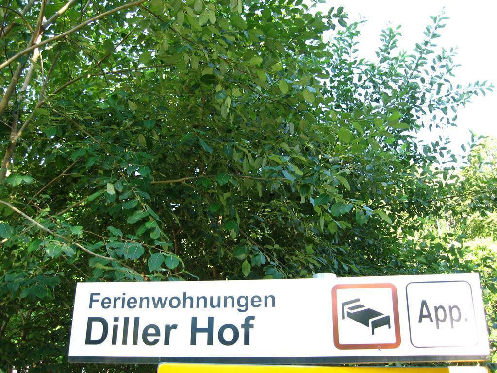 Dillerhof Apartman Laion Kültér fotó