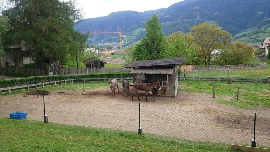 Dillerhof Apartman Laion Kültér fotó