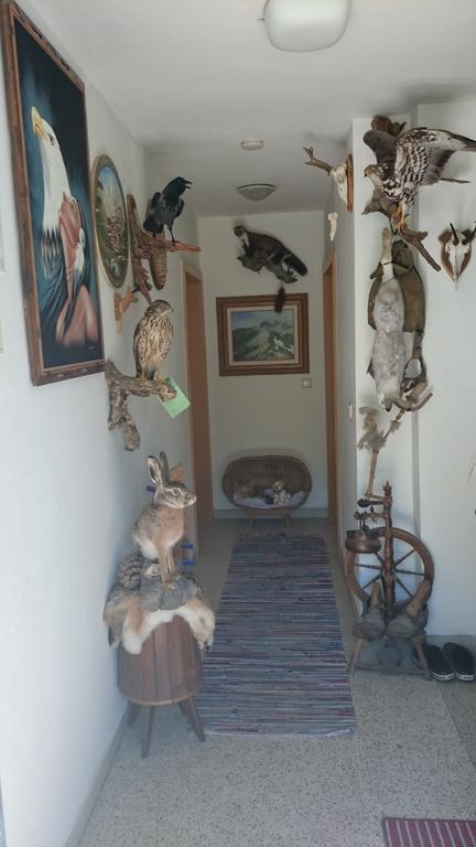 Dillerhof Apartman Laion Kültér fotó